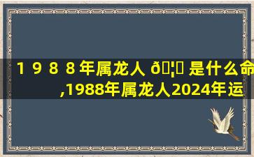 １９８８年属龙人 🦁 是什么命,1988年属龙人2024年运势及运程